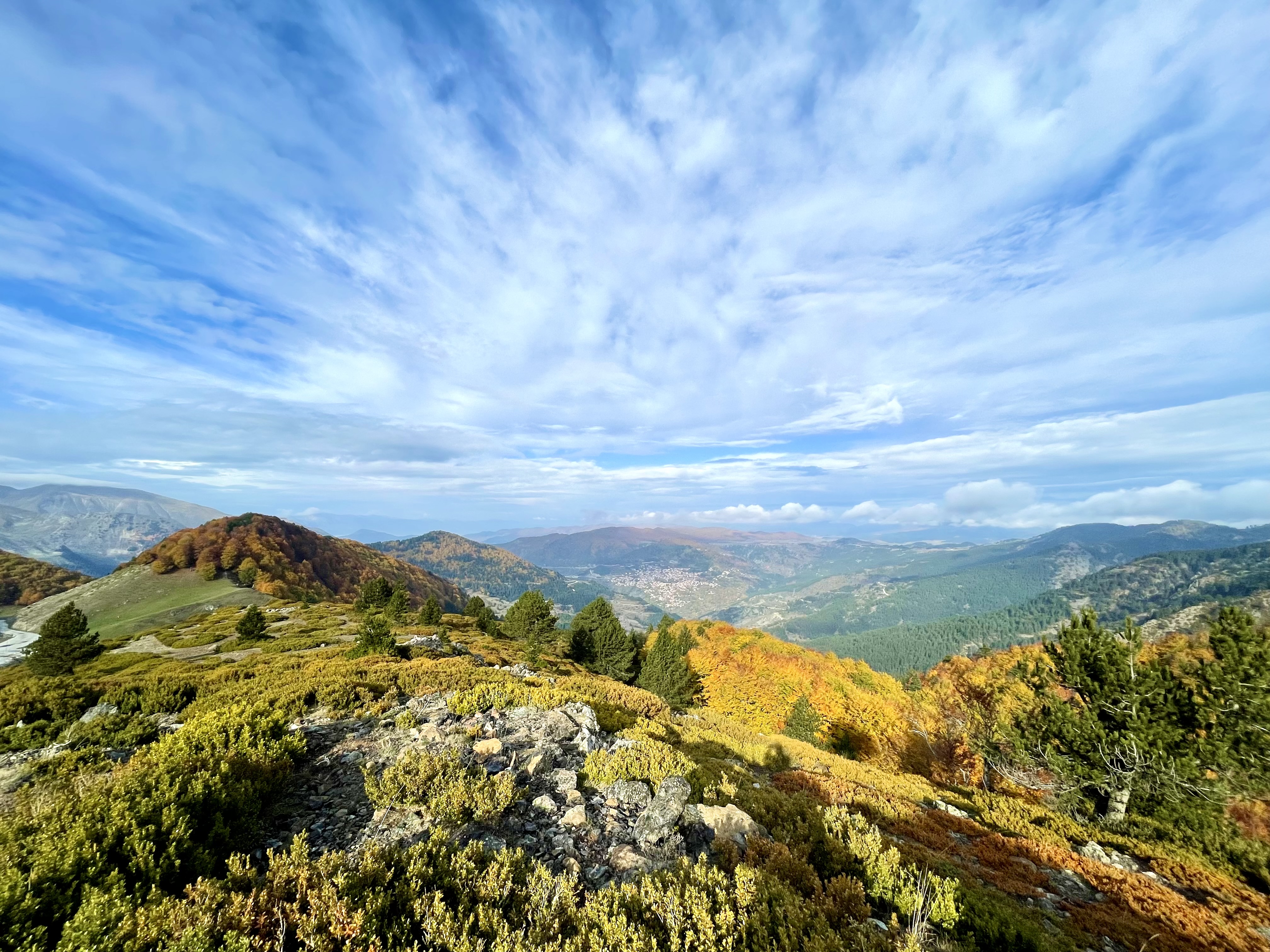 Ίδρυμα Β.Μ. Τοσίτσα